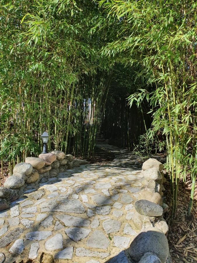 Lou Visetto A Vallon-Pont-dʼArc מראה חיצוני תמונה